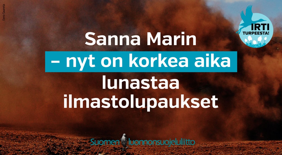 AarnioKia tweet picture