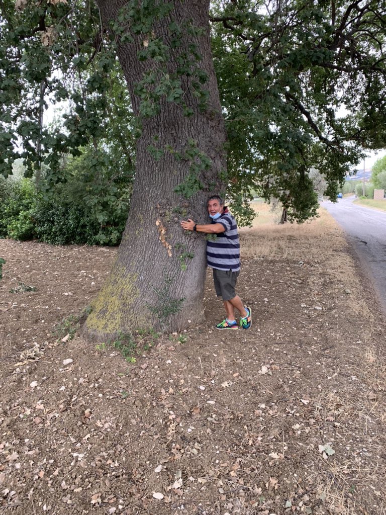 Cartolinformatk's tweet image. Pensate quanto sono dimagrito che l’alberello è diventato più grande di me……