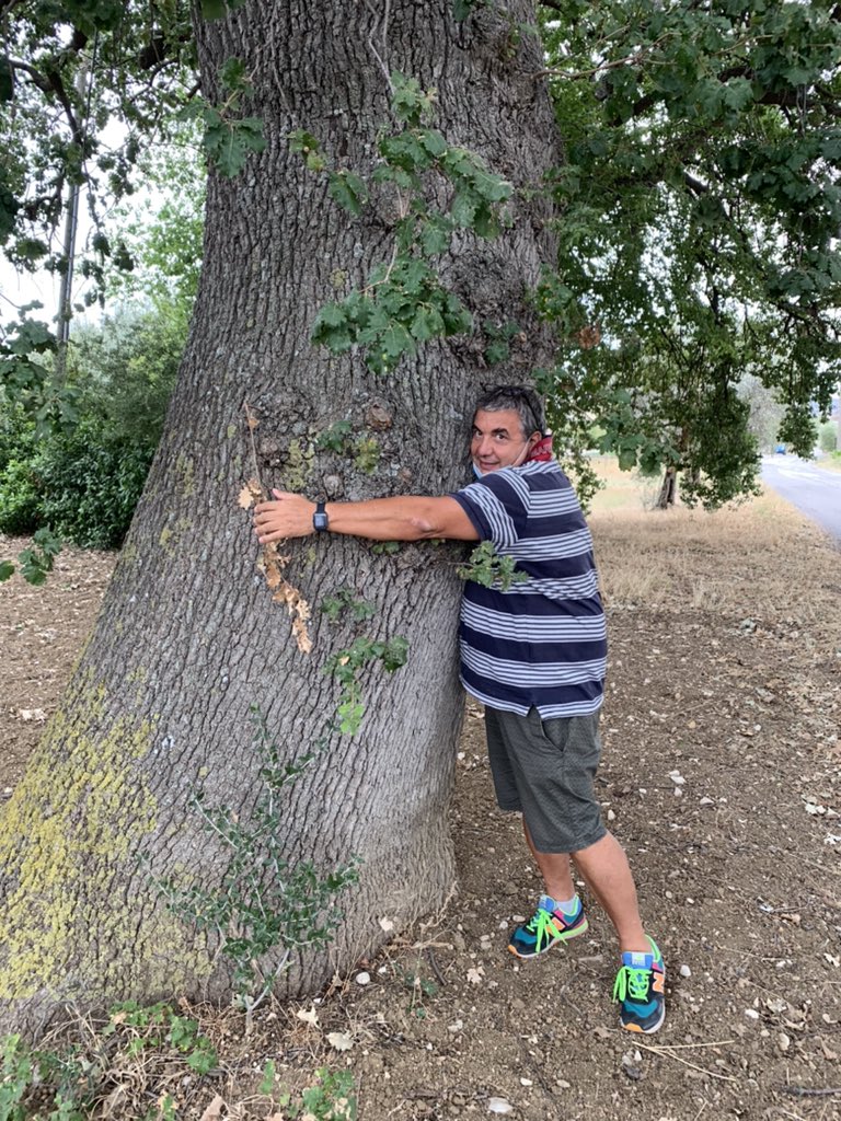 Cartolinformatk's tweet image. Pensate quanto sono dimagrito che l’alberello è diventato più grande di me……