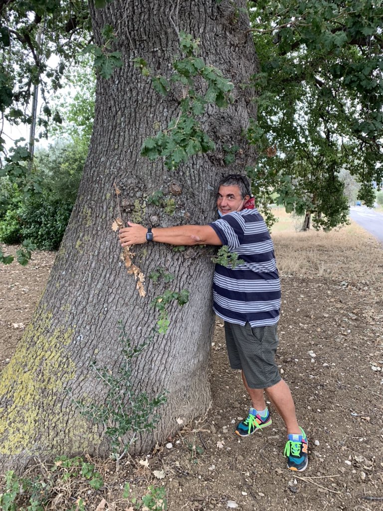 Cartolinformatk's tweet image. Pensate quanto sono dimagrito che l’alberello è diventato più grande di me……