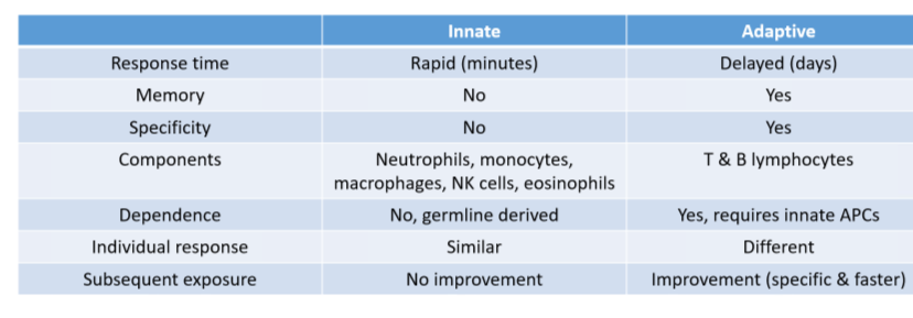 godmah86's tweet photo. 💯جدول بسيط للتفريق ما بين المناعة الفطرية / المتكيفة
               ( Innate / Adaptive immunity )👇 https://t.co/X81bFLHO9o