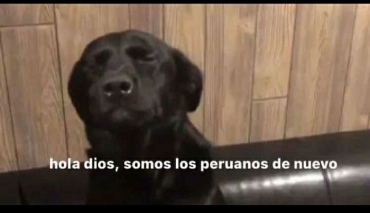 A88Bannan's tweet photo. los peruanos luego del segundo #Temblor de hoy y las posibilidades del terremoto:

TENGO MIEDO https://t.co/caHYwSMvLA