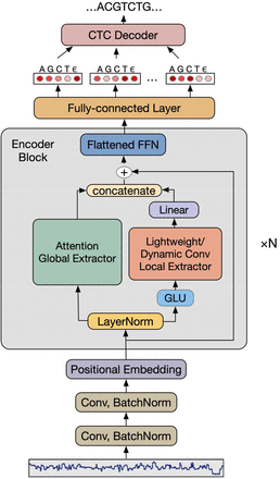 MColebrook's tweet photo. An End-to-end Oxford #Nanopore #Basecaller Using #Convolution-augmented #Transformer
https://t.co/YBhFBxYjmP
> #Genomics #Bioinformatics #Bioinformática https://t.co/Kf3wXfJYJi