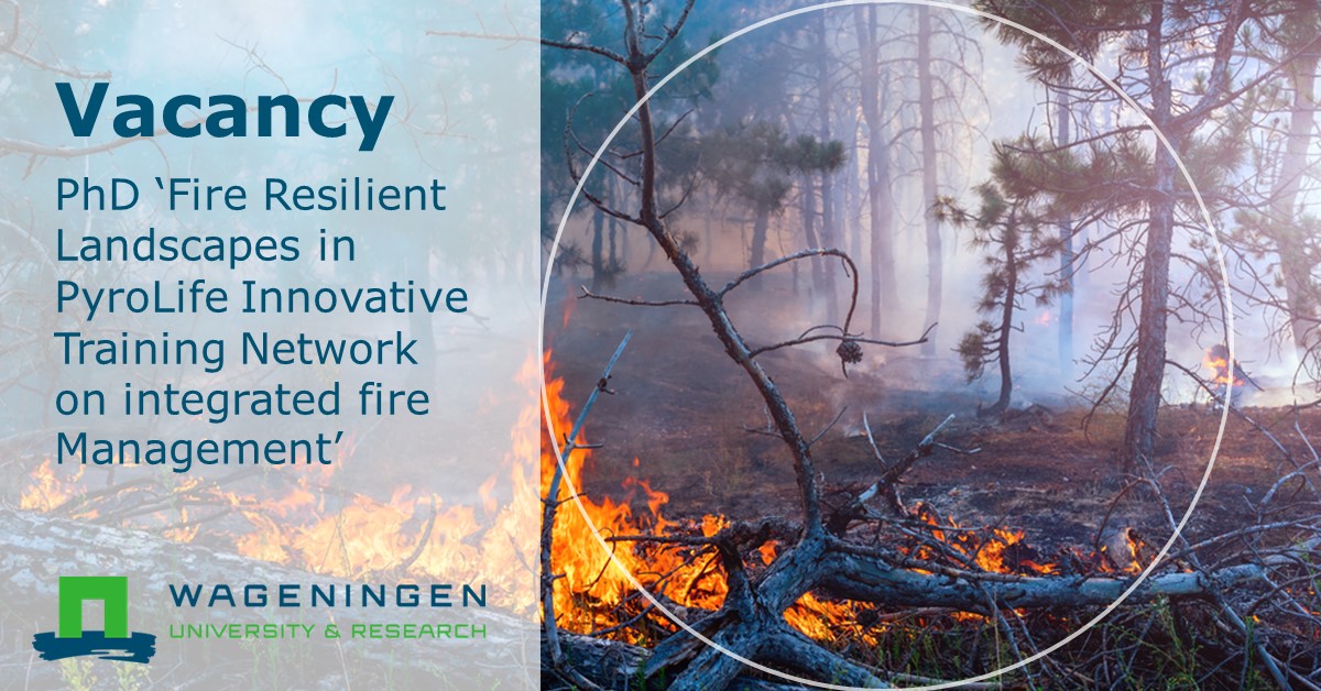WUR Environmental (@wurenvironment) on Twitter photo #Vacancy | There is a critical need to change fire management from fire resistance to landscape resilience. We're looking for a #PhD candidate to further develop integrated fire management with our team @dr_firelady <a href="/pyrolife_itn/">PyroLife_ITN</a>. Apply ➡️ bit.ly/3giEvbL #Vacancy | There is a critical need to change fire management from fire resistance to landscape resilience. We're looking for a #PhD candidate to further develop integrated fire management with our team @dr_firelady <a href="/pyrolife_itn/">PyroLife_ITN</a>. Apply ➡️ bit.ly/3giEvbL