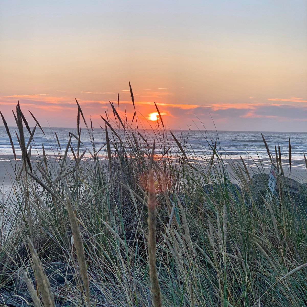 Funky70's tweet image. 