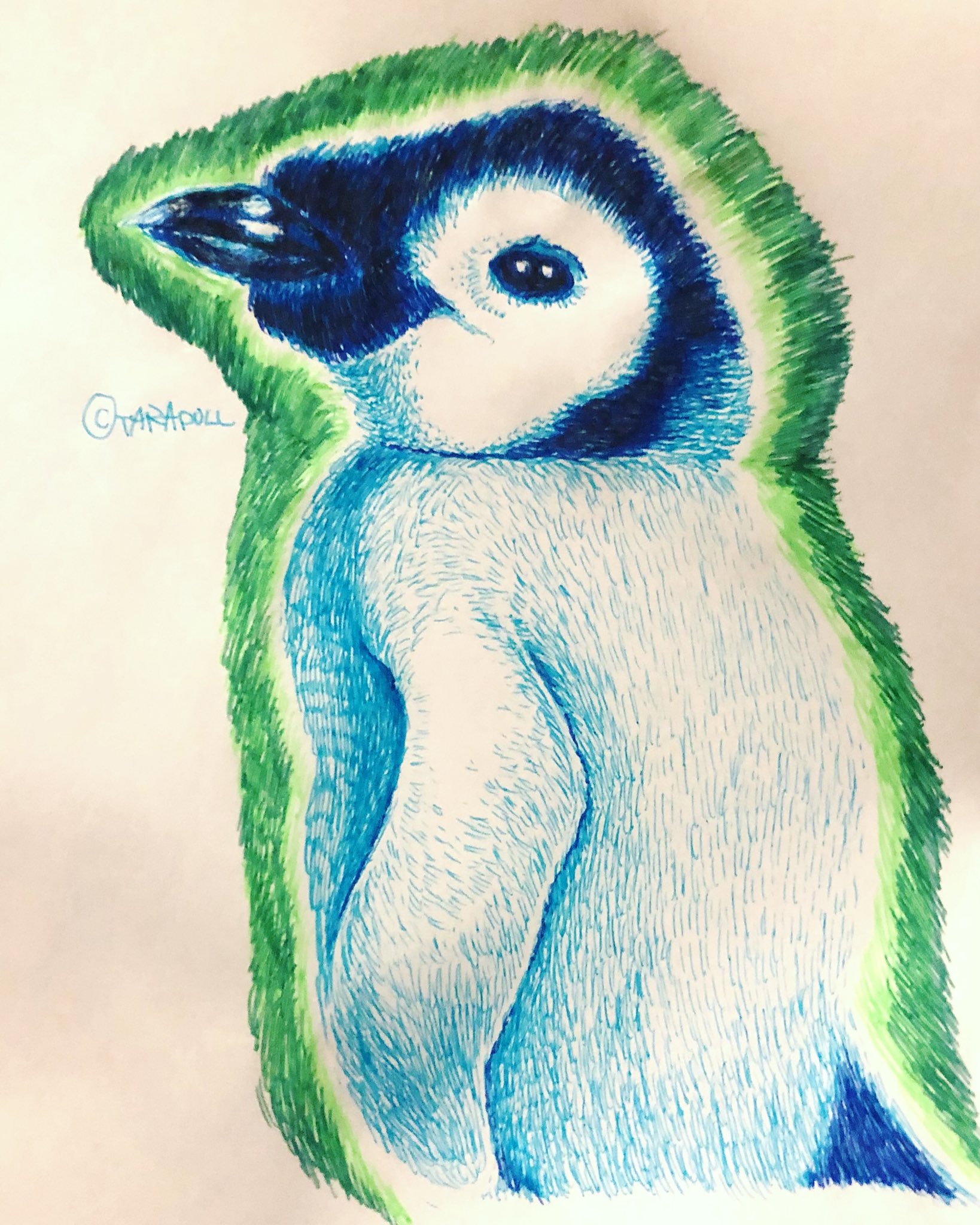 Taradoll ひたすらお絵描き 皇帝ペンギン の赤ちゃん 大好きなパパのお腹で 大きくなってね イラスト 絵描きさんと繋がりたい イラスト好きな人と繋がりたい 真夏の創作クラスタフォロー祭り 動物イラスト デッサン フリクションボールペン