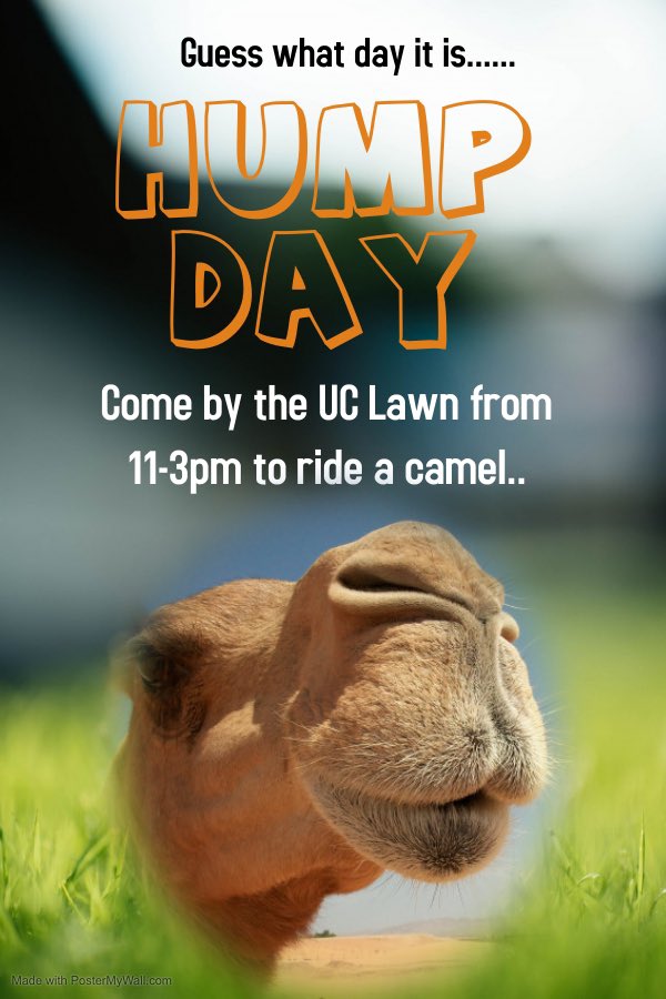 Campus Involvement tweet media
