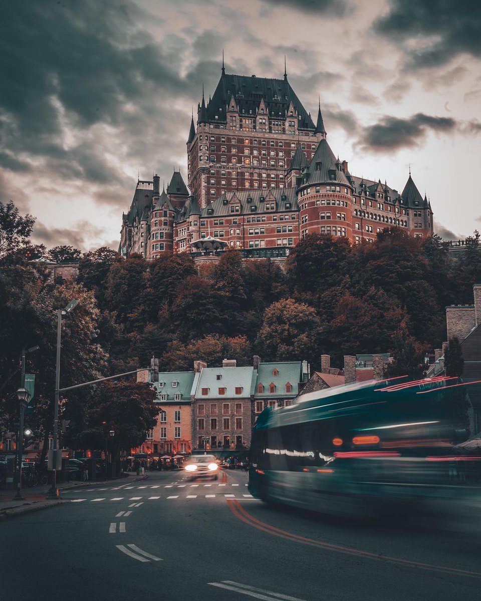 mtltips tweet picture