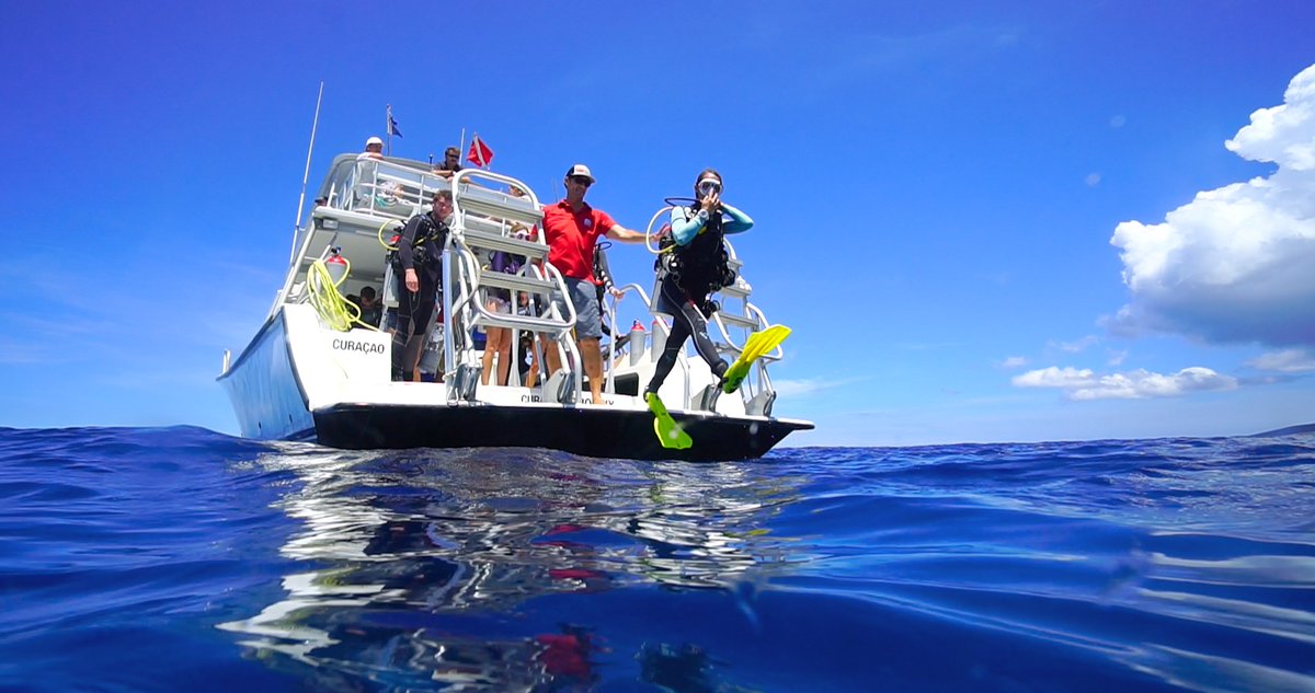 curacao_dive's tweet photo. Scuba Diving in Curaçao has been growing steadily in popularity as a world class dive &amp; vacation destination! 👉Visit Dive Curacao ☑️https://t.co/JKz1AaDEBS to discover the endless possibilities Curacao has to offer for your next Caribbean getaway! #scubadiving #travelguide https://t.co/A0qmMCtjrb