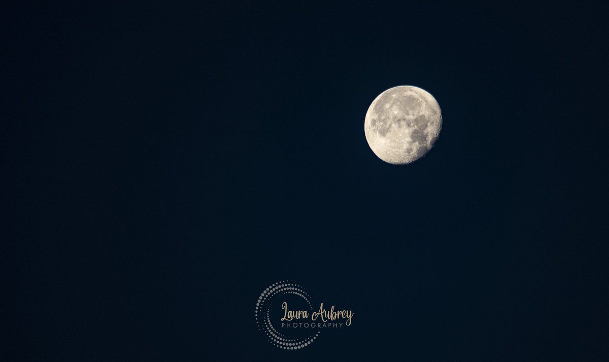 laura_aphoto's tweet photo. The moon this morning around 5:30 am 91% Waning Gibbous
#moon #moonlover #moonlight #waninggibbous #moonphotography #moonphoto #dorset #astro #astrophotography #moonphases #astronomy #astrophoto #nature #space #spacephotography #benbouk #moonpics #sky #clearsky #canoneosr https://t.co/D2K0stmKyu