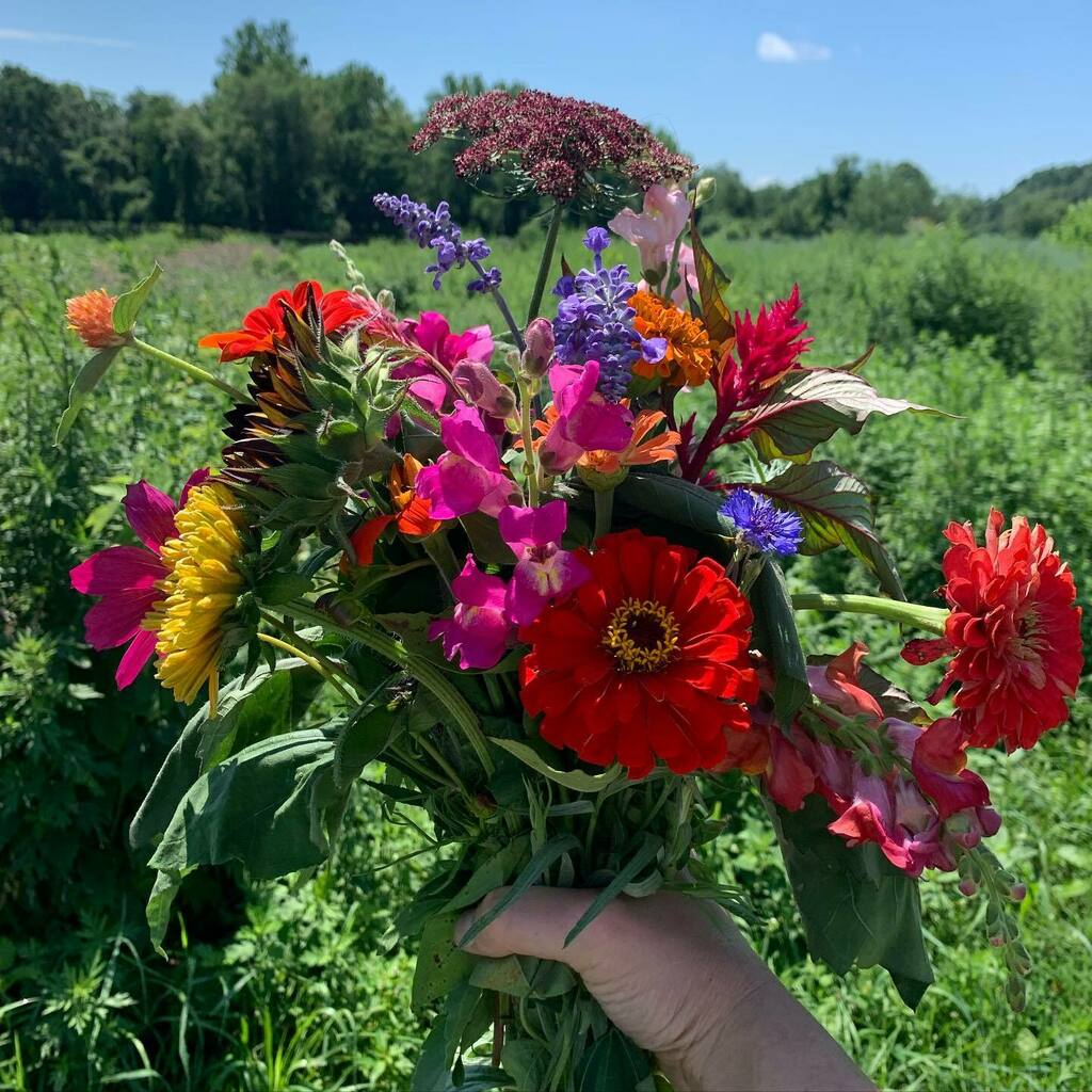 collzies's tweet photo. No filter Hudson Valley https://t.co/rfv2ib7iCS https://t.co/0zQdfeLCyK