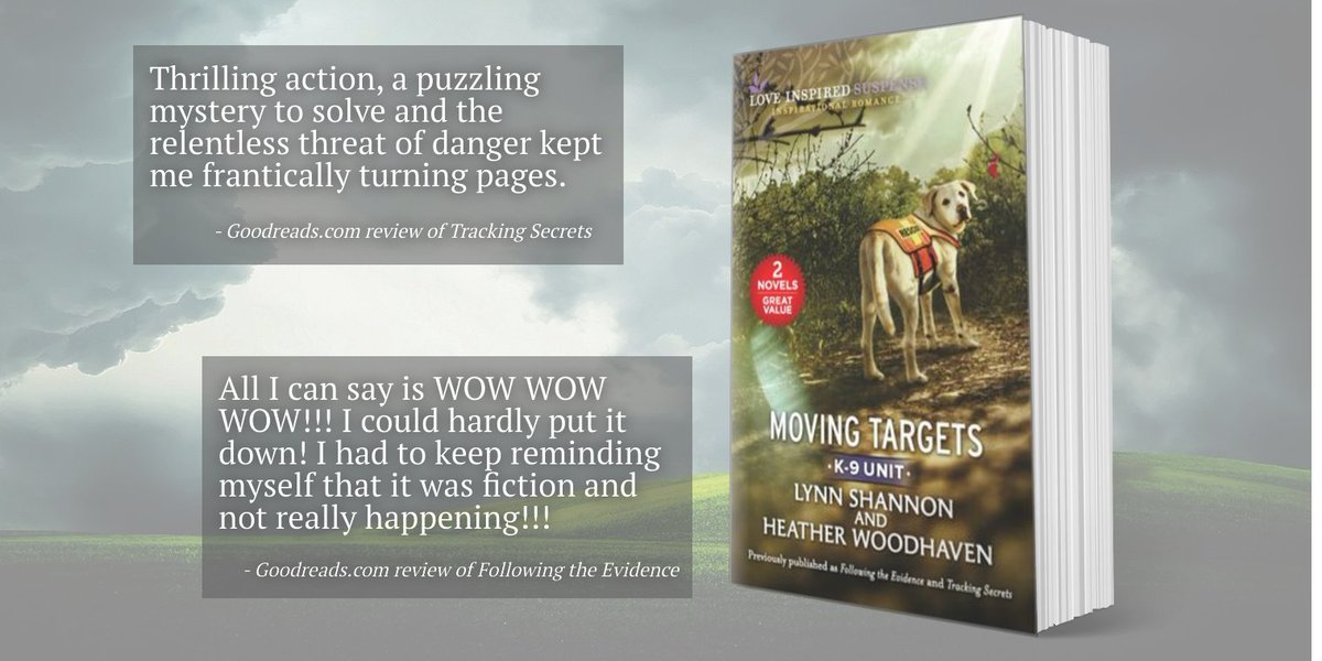 Lynn Shannon 💜📖 tweet media