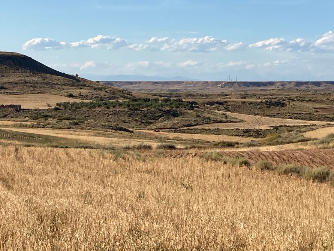 🔎 Más censos en cotos #RUFA. En la comarca del Bajo Cinca (Huesca) encontramos un hábitat óptimo para la perdiz roja y otras especies. 🌾Gestión con superficie de siembra sin cosecha, red de charcas y comederos. Conteos con la compañía de la Federación Aragonesa de Caza 👍