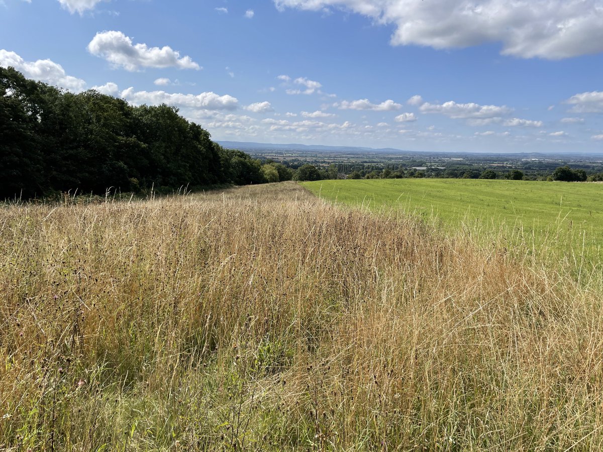 Great day yesterday for #remotesensing using the multispectral drone for a bit of everything: species composition, plant health and orchard yield prediction data. Cheltenham and Gloucester off in the distance(ish!)😎
