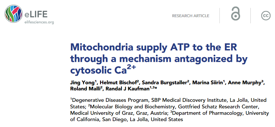 Autonomic Aus tweet media