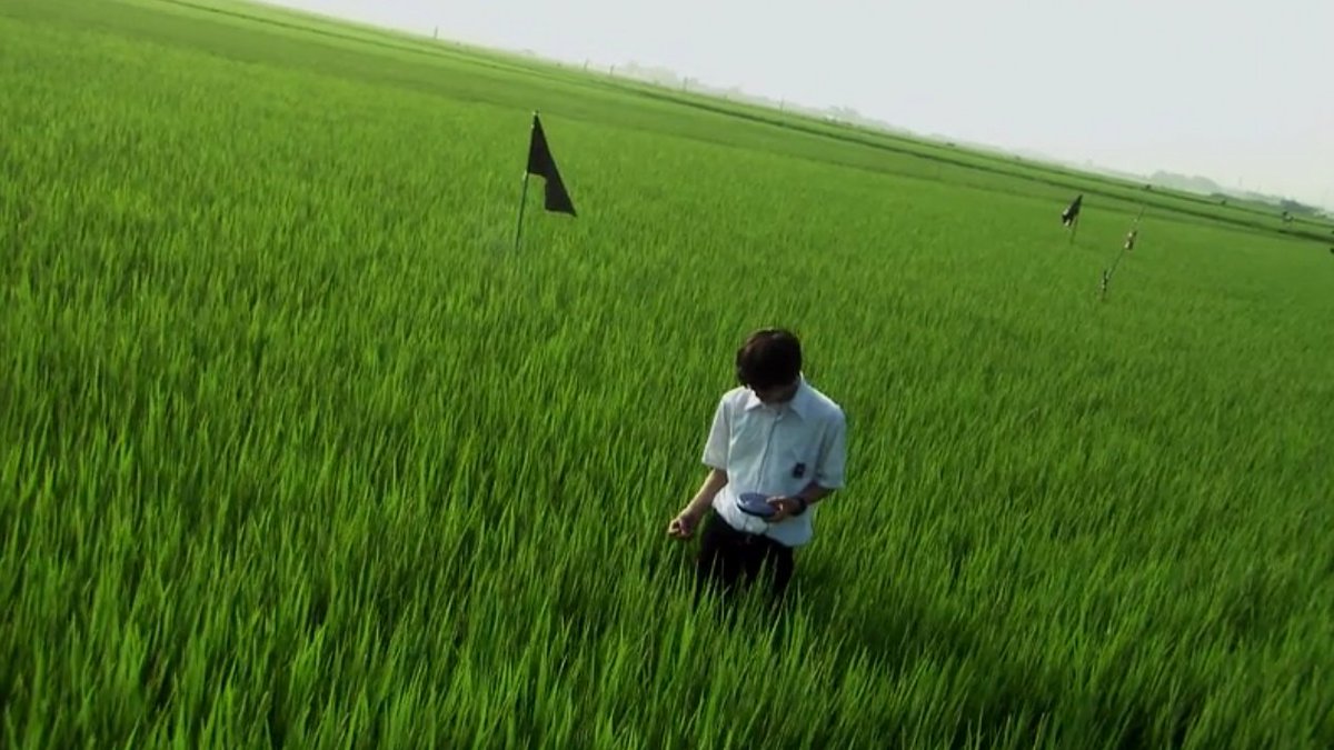 cinemabangtan's tweet photo. “lost in the woods” — la religieuse (1966) dir. jacques rivette &amp; all about lily chou chou (2001) dir. shunji iwai // the most beautiful moment in life pt.1 : 'florescence' &amp; the most beautiful moment in life pt.2 'papillon' (2015-2016) https://t.co/lujHupffMV