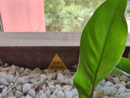 Luchar contra el mosquito tigre en casa is.gd/2DlxbP