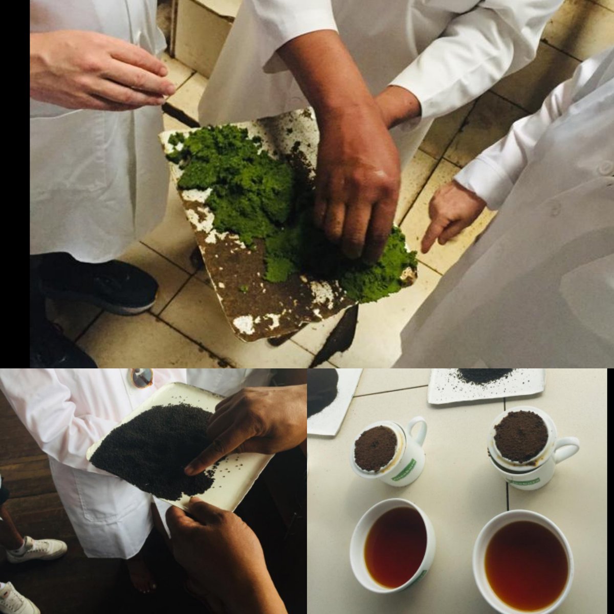 IVOMO4's tweet photo. The amount of fun and info you get from TEA TIME is unmatched.

 #ivomocbt #teatour #teatime #kinyagaheritage #VisitRwanda book a TEA TIME tour through info@ivomo.rw or https://t.co/Ex3zmheBGc https://t.co/9oKvez9C80