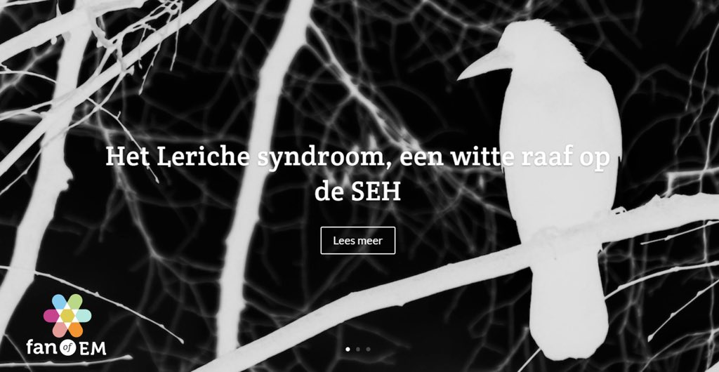 Fan of EM tweet media