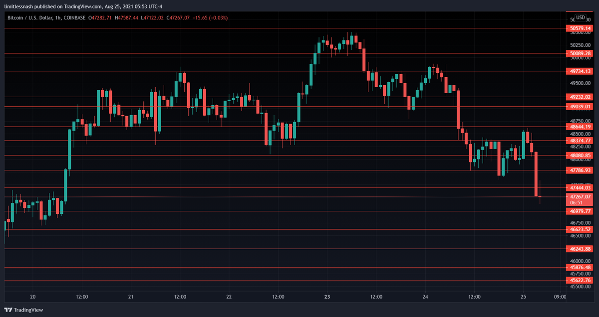 💪🏻CryptoNa$h 🚀 (No DMs) tweet media
