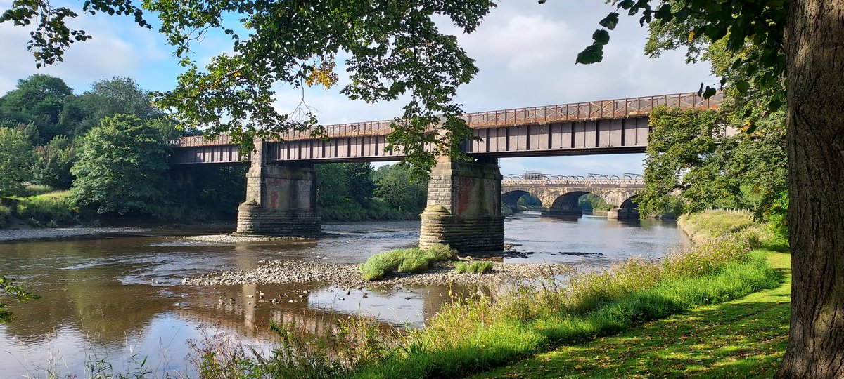 SteWalker4's tweet image. The beautiful River Ribble this morning at Avenham Park. #loverivers #RibbleVision @RibbleTrust