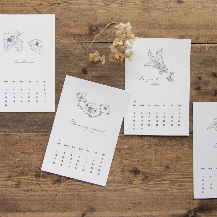 手紙社 月刊手紙舎 9月号 22年を先取り イチ押しカレンダー 第1弾 珠玉の作り手たちが作る 四季折々の花や植物をモチーフにしたデザインが勢揃い 活版の風合いを閉じ込めた上品な仕上がりのものや 壁を彩る色彩豊かなものなど 身近な アート