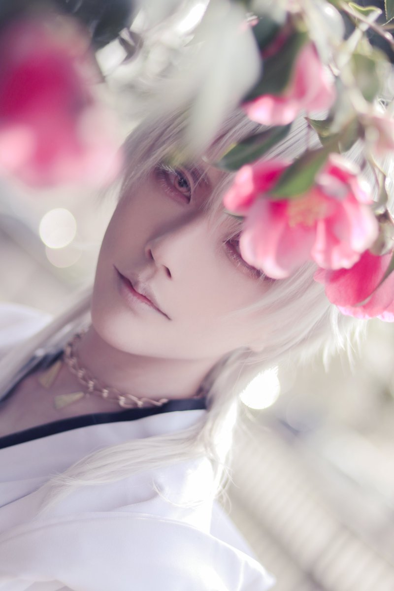 かみさまは見ている
.
.
.
photo*鴉綺羅さん
cosplay*鶴丸国永