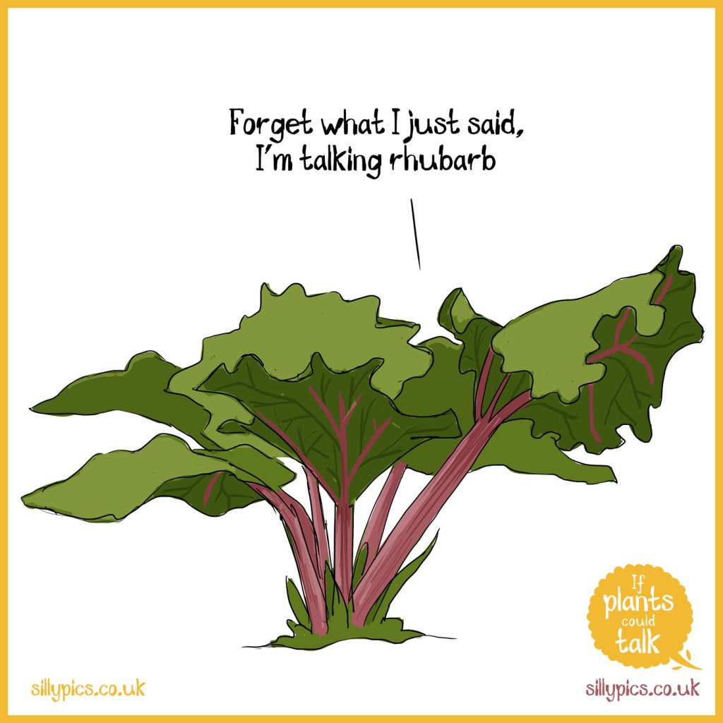 Sillypics1's tweet photo. If Rhubarb could talk
https://t.co/qXl8SV3Jx8

More Sillypics #gardening cartoons and #garden tips from the wrigglers
https://t.co/WVyeSejrRx

@GWmagazine @AmateurGardeningMagazine @sillypics1 @The_RHS https://t.co/QA9fUWayFa
