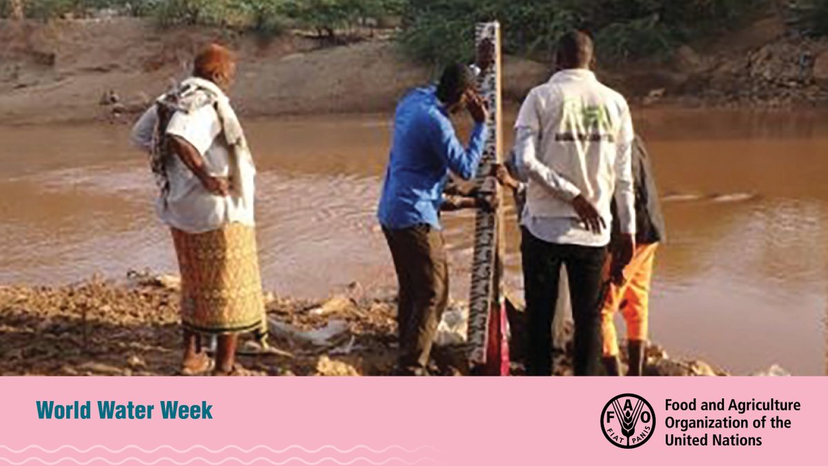 FAOSomalia's tweet image. Rural communities in #Somalia are prone to water shortages and other obstacles that prevent them from becoming #watersecure. 

Through innovation &amp;amp; technology in water management, communities can overcome these obstacles on their journey towards #resilience!

💧#WorldWaterWeek
