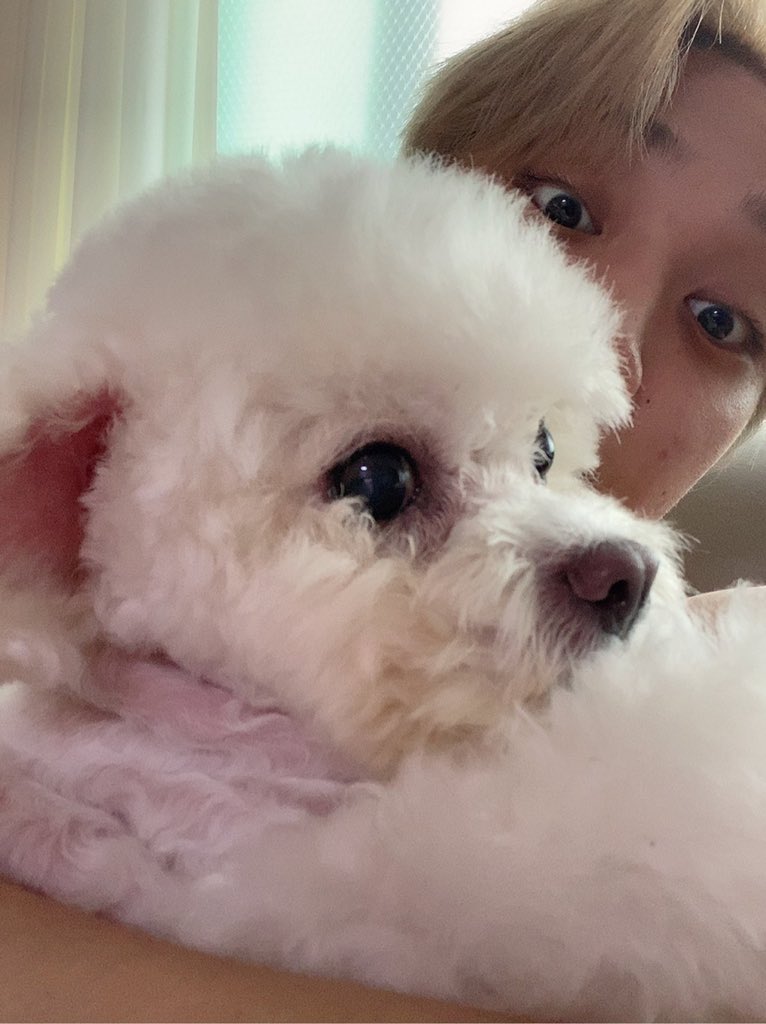 joothinker's tweet image. these cuties &amp;lt;3