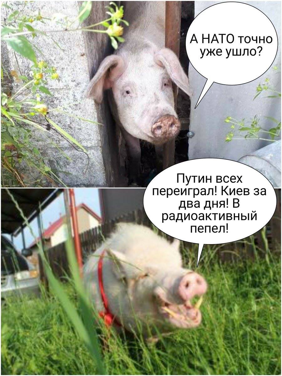 Нові закони України не дозволяють виконати мінські домовленості, - Лавров - Цензор.НЕТ 5718