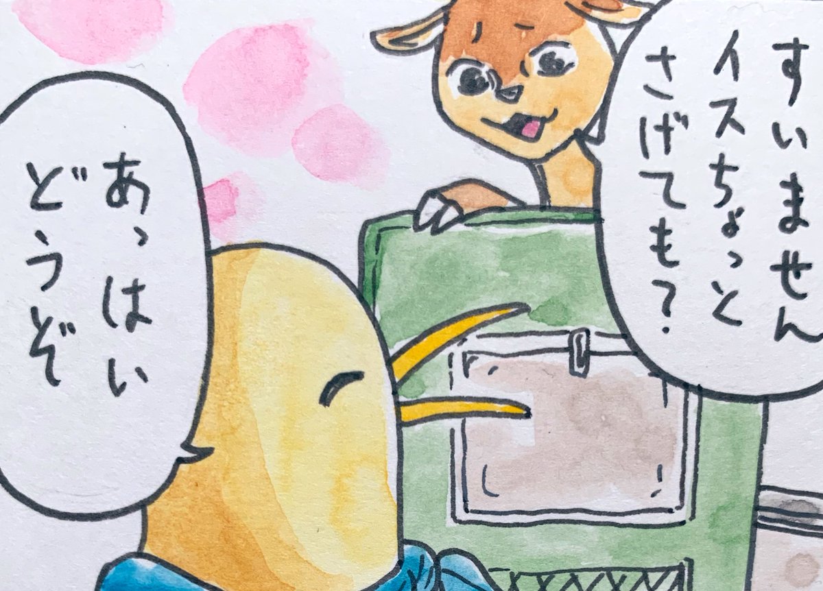 今日のキーウィ君 28日目 