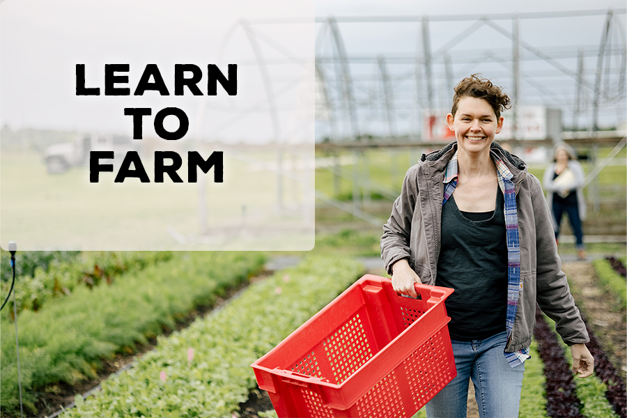 caff_ar's tweet photo. Applications are now open for CAFF Farm School 2022! Learn to grow vegetables, fruits, herbs, and flowers for local and regional markets. Small sustainable farms are important to local food systems. CAFF provides hands-on experience at our model farm. #NWAfarming #CAFFnwa https://t.co/Z8oZZP57W0