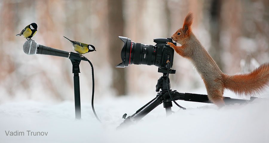 Jeanette tweet media