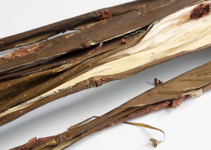 紙すきのtwitterイラスト検索結果 紙すきのtwitterイラスト検索結果