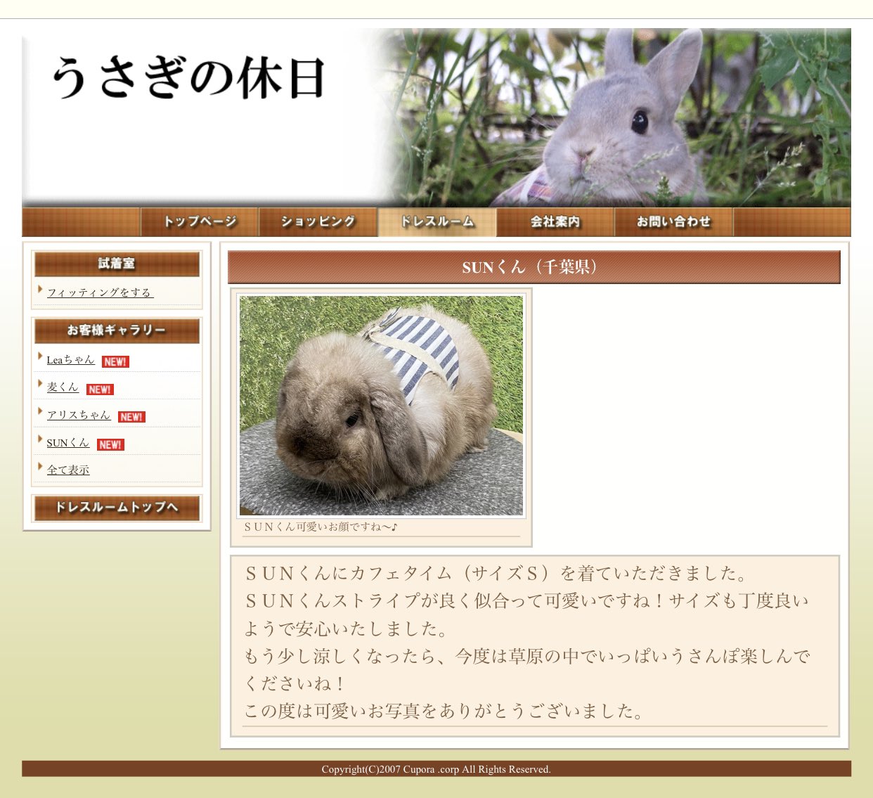 うさぎのしっぽ出身 Twitter Search Twitter