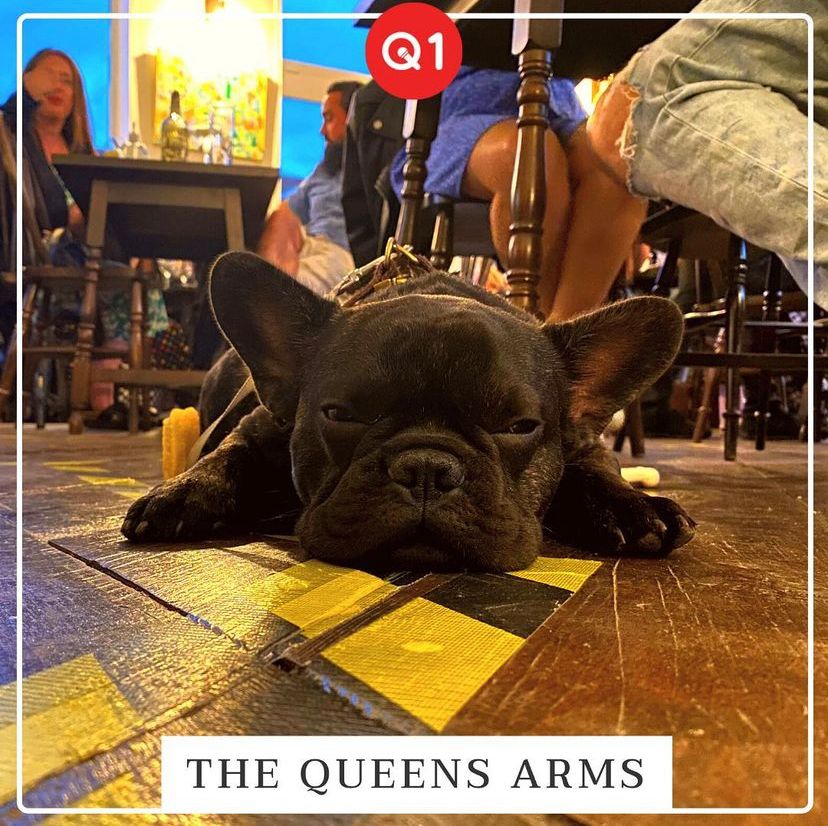 QuestionOneQuiz's tweet photo. Now for a segment we call 'The Dogs of Question One'
Shout out to these good boys who attended quizzes at #QueensArmsBattersea and @roundhousesw18
Many venues are #dogfriendly so bring your #furryfriends along for some #factfindingfun
#quiz #pub #dogfriendlypub #quiznight #dog https://t.co/QL2er500lD