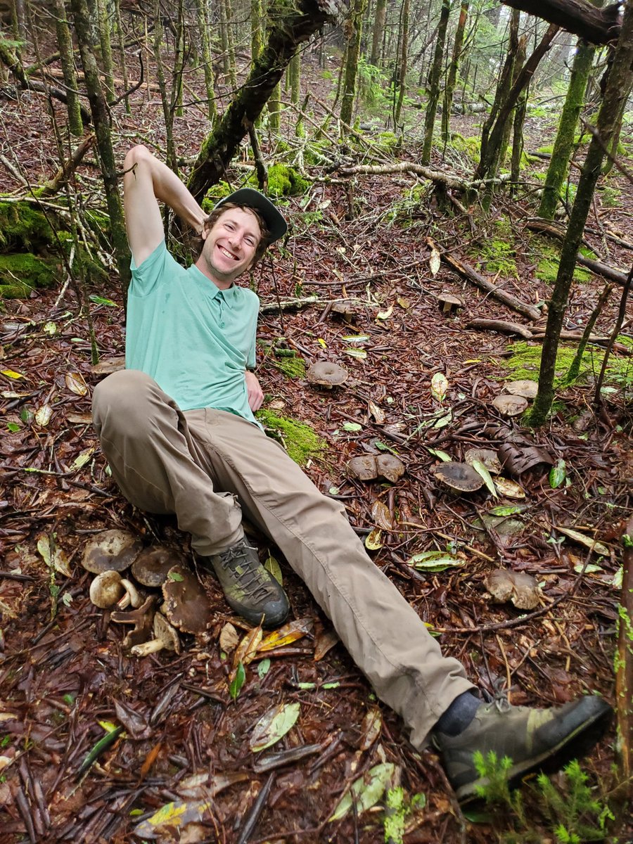 GreatSmokyNPS's tweet photo. This week Chance Noffsinger, of the University of Tennessee, will help us continue a 70-year study about Russula, red fungi communities that live in the spruce-fir forest. 

Share your questions below, and we will ask our researcher to answer them! #ParkScience

NPS Photo https://t.co/grL9kClxaX