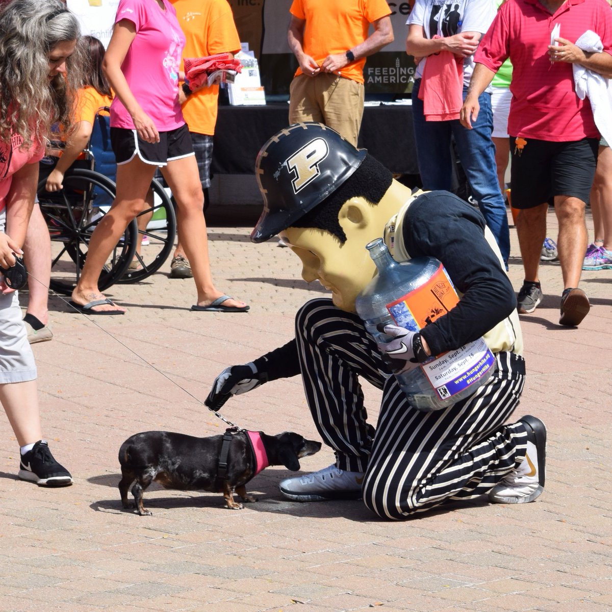 LUMserve's tweet photo. #HungerHike is a rewarding event -- even for dogs. Make THIS the year that you & your dog join the "Fight Against Hunger." Save the date (9/19), form a HH team, and start funding raising TODAY. You won't regret it! Start here - https://t.co/R3j4yseHFJ https://t.co/1jVHVqfgme