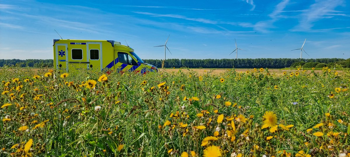 Eric IJdo tweet media