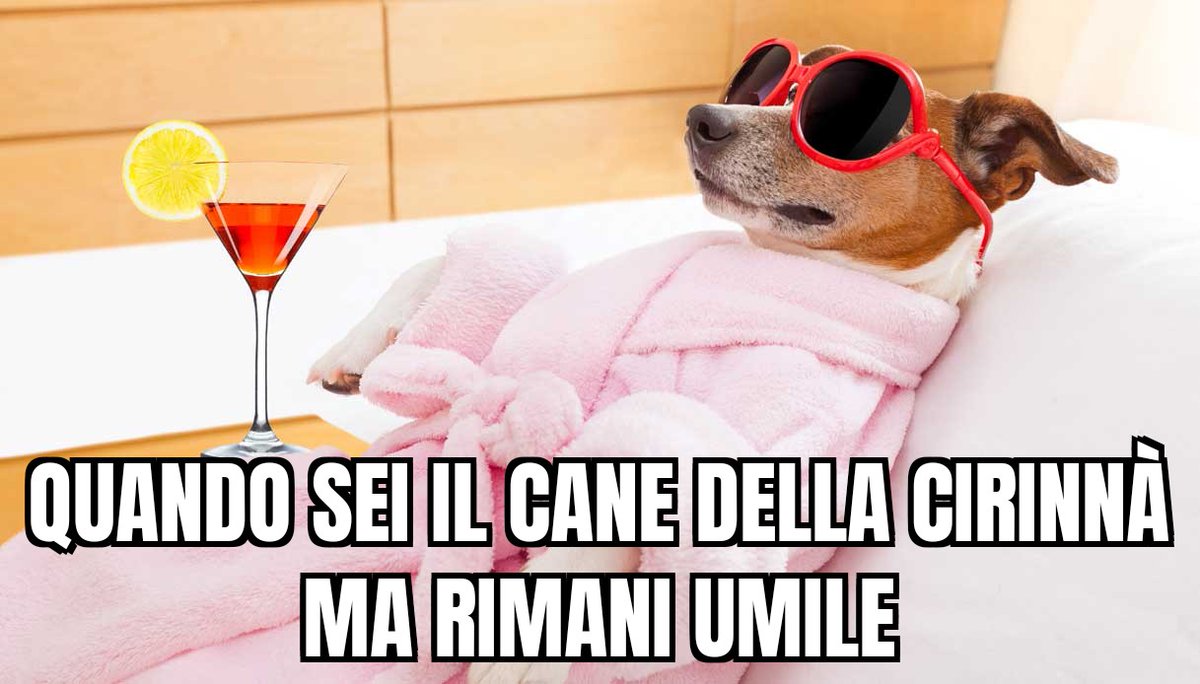 geoluca78's tweet photo. @RoyDeVita @GuidoCrosetto @GiorgiaMeloni @matteorenzi @matteosalvinimi @lefrasidiosho https://t.co/vv0LWNYbqQ