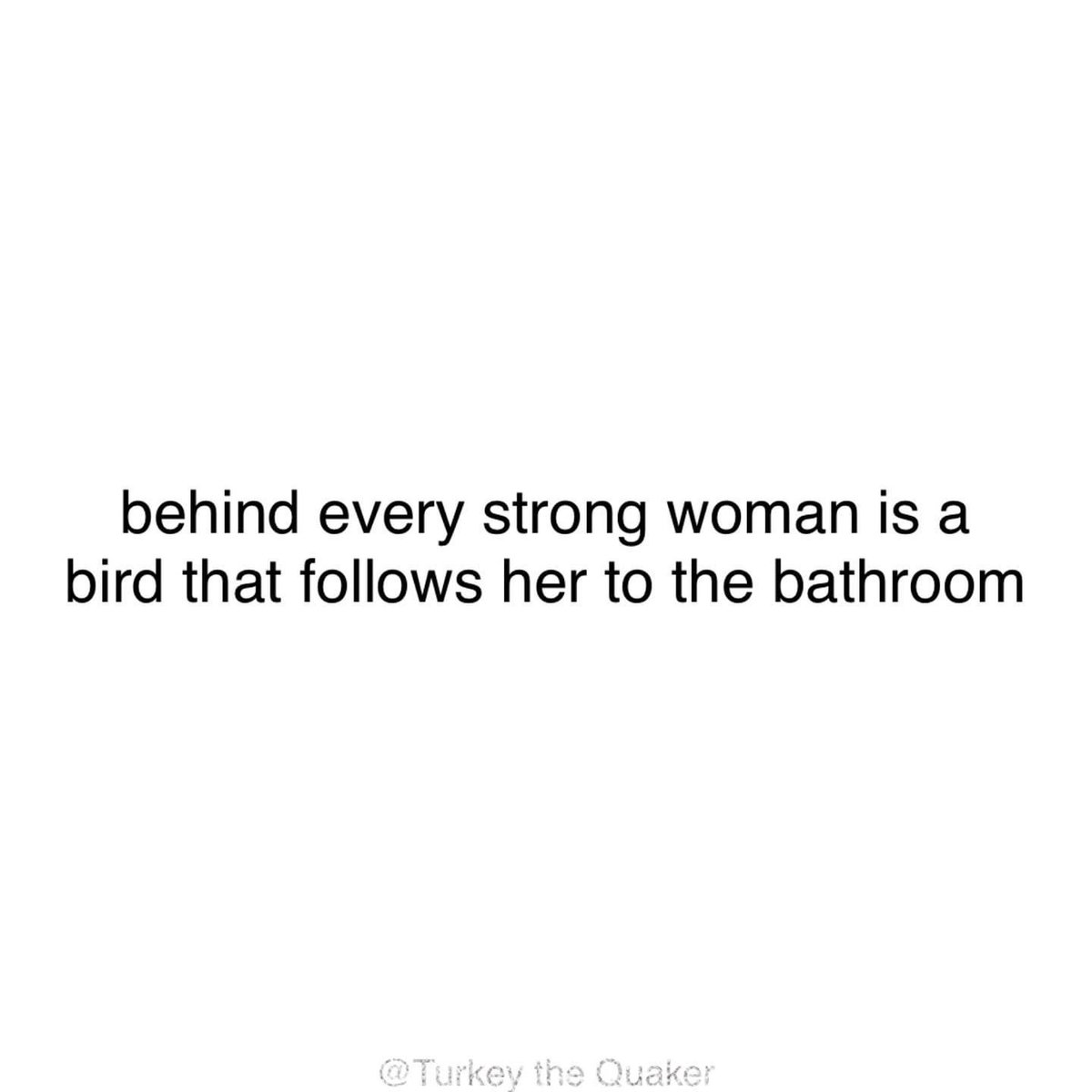 ParrotEssential's tweet photo. Always. #lifewithbirds #parrotparents https://t.co/SQYl27wh2o