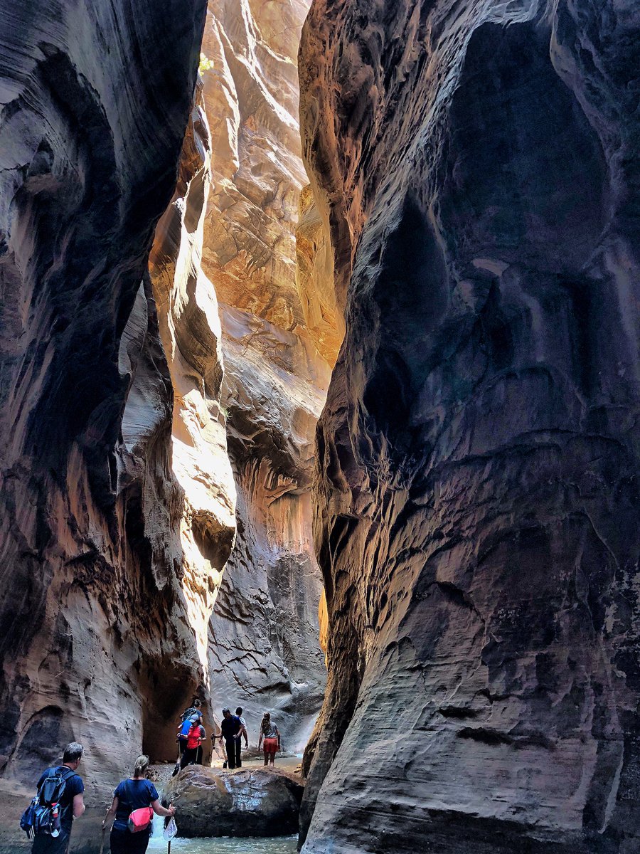 Heather Stepp tweet media