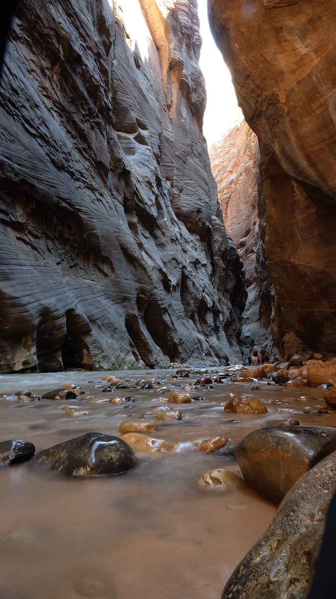 Heather Stepp tweet media