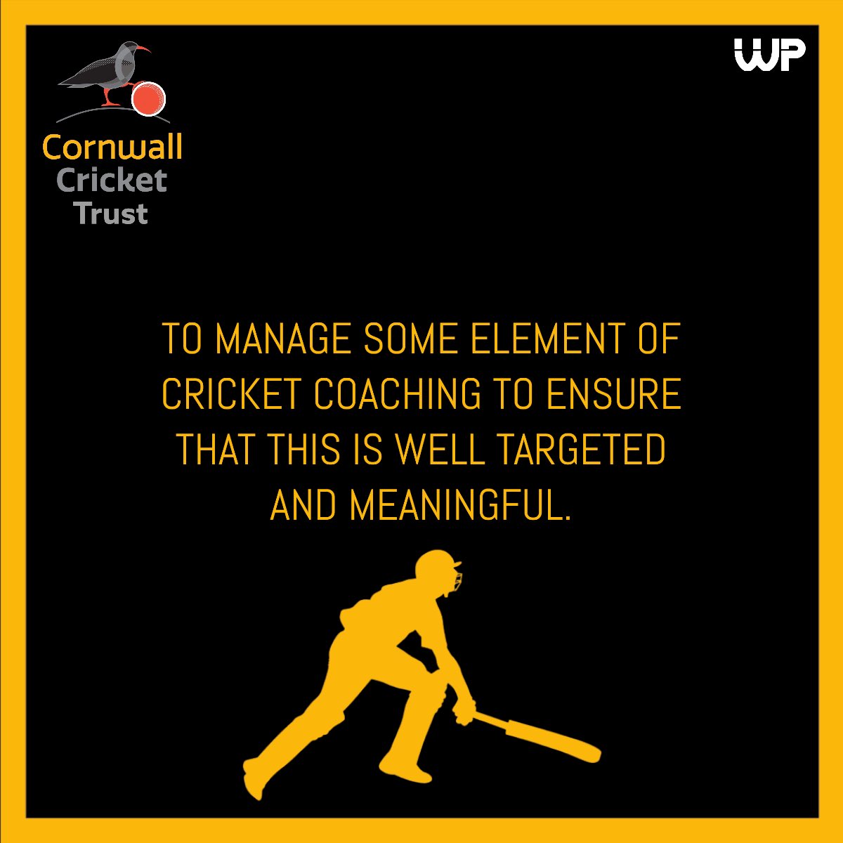 Cornwall Cricket Trust tweet media