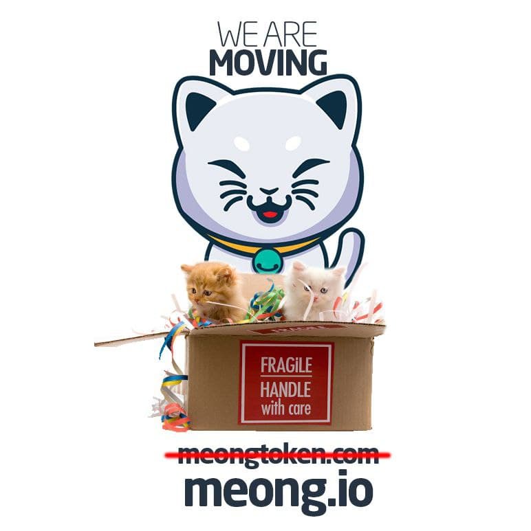 MeongToken's tweet photo. #MEONG Token proudly announce that we are moving from https://t.co/zvMTNUc9ZS to https://t.co/36liIwSOQi for more better.. 🎉���🚀We Kill The ZERO🎉🚀🚀 https://t.co/DX16zlqUsR