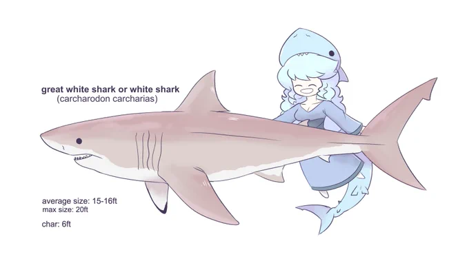 let's learn about great whites,,

with char.... 