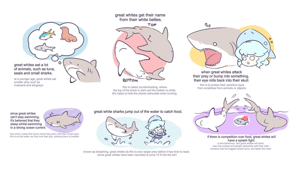 let's learn about great whites,,

with char.... 