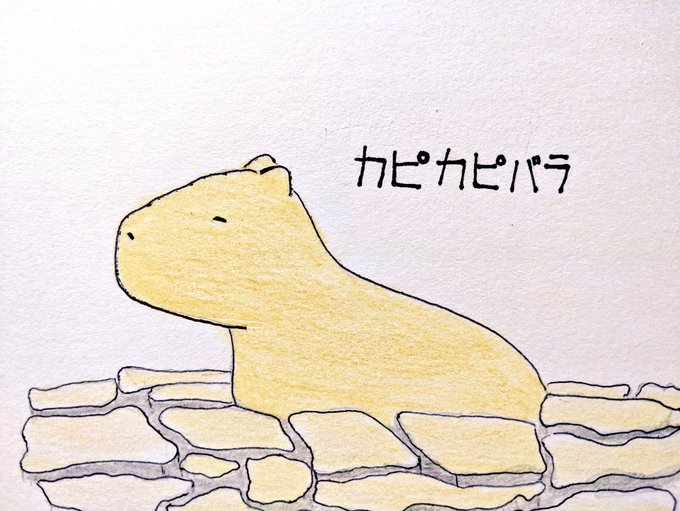 画像まとめ カピバラさん 日付順 10ページ目 アニメレーダー