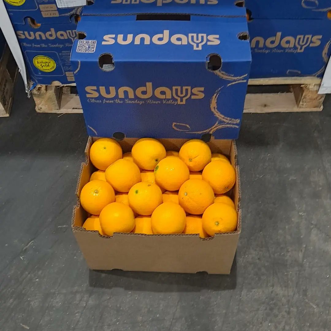 KollaUk's tweet photo. Beautiful Autumn Gold Navels from our good friends at SRCC https://t.co/WfFbiwqrgQ